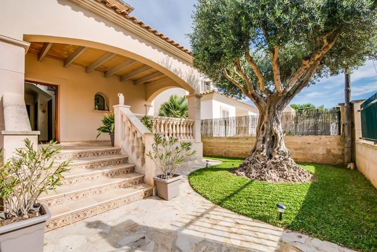 Ideal Property Mallorca - Didi Alcudia